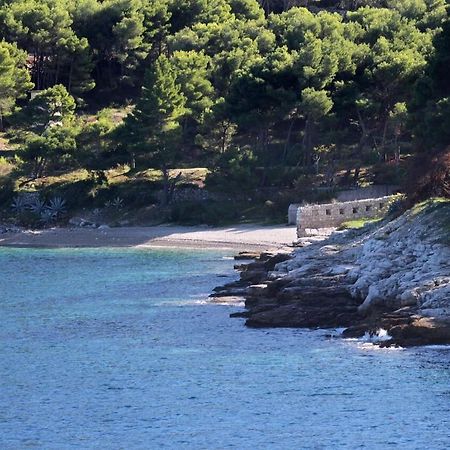 Apartments Zoki - Great Location Close To The Sea Vis Exterior photo